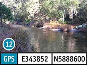 Horseshoe Lagoon Camping Reserve