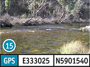 New Crossing River Reserve