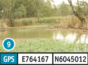 Kerang Weir