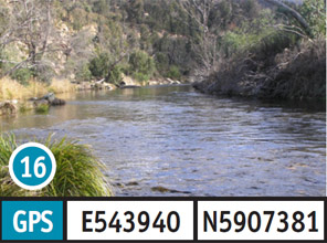 Bundara River Picnic Area