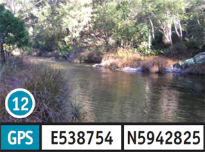 Lightning Creek 1