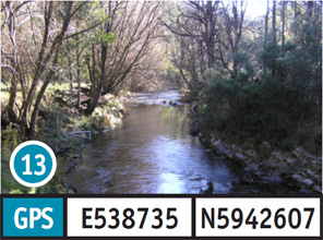 Lightning Creek 2