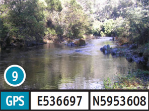 Stony Creek 2