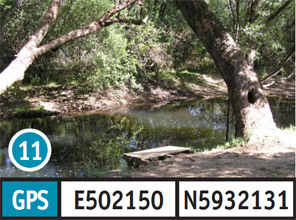 Snowy Creek Picnic Area