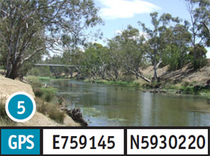 Newbridge Recreational Reserve