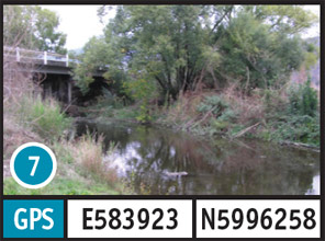 Thowgla Creek Bridge