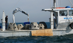 depolying reef balls in prto phillip bay