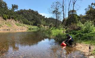 Fisheries officer stocking inland waters