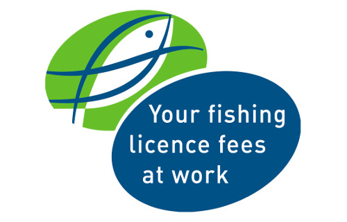 Your Licence fees at work