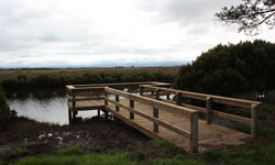 A new fishing platform provides convenient access to Tarra River.