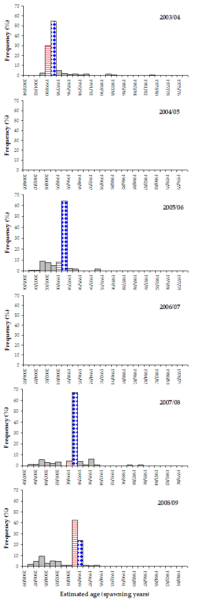 Figure 16. Line chart shows the age frequency distribution of black bream in Lake Tyers over 5 years which is consistantly between 1998 and 2000