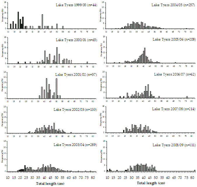Figure 18. Bar chart shows the length and frequency distribution of dusky flathead over 10 years.