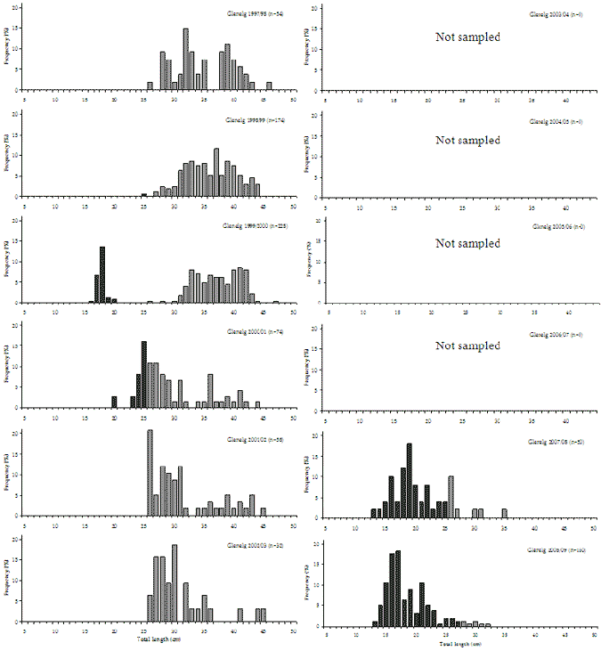 Figure 23. Bar chart shows the length and frequency distribution of black bream which in recent years has been getting shorter.