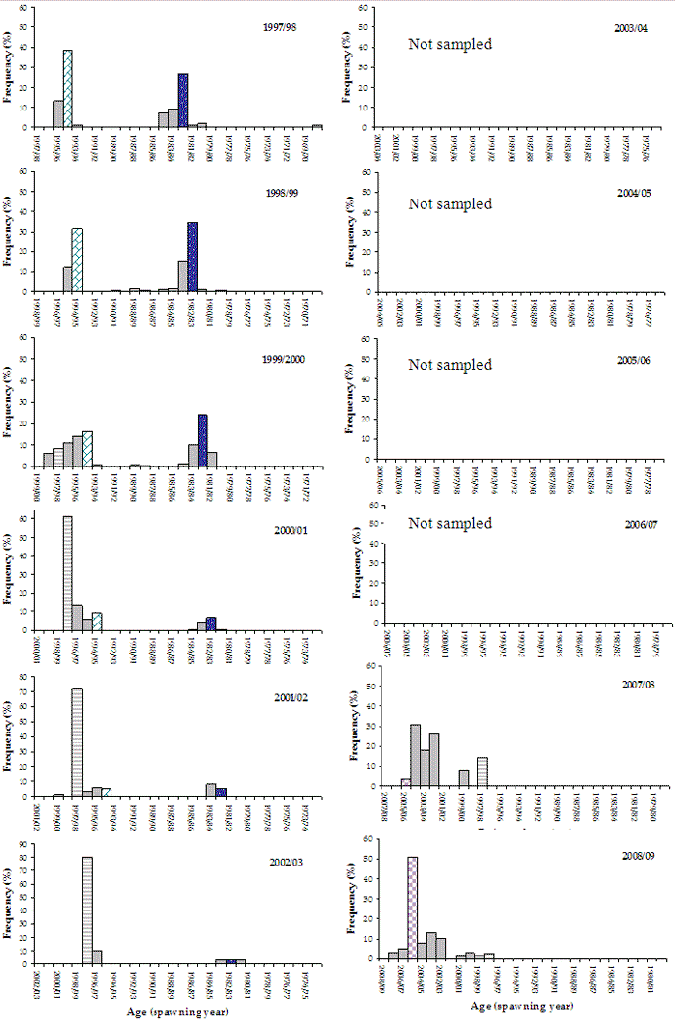 Figure 24. Bar chart shows the age frequency distribution of black bream which in the 2008/09 data is significantly 2006 age