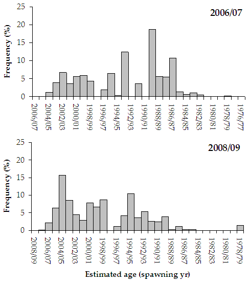 "Figure 3. Bar chart shows age of fish and frequency distribution of estuary perch, 1988/89 being the most frequent in the 06/07 data whilst 2004/05 being the most frequent in the 08/09 data."