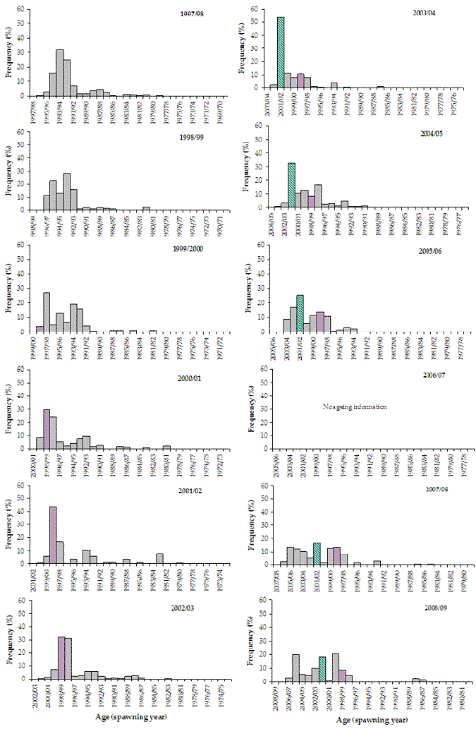 Figure 8. Bar chart shows the age frequency distribution of black bream caught in Mallacoota Inlet over 10 years
