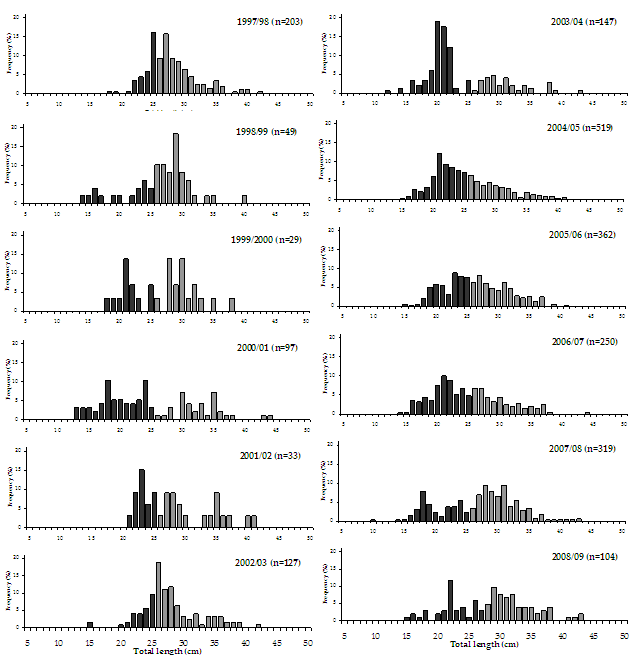 Figure 7. Bar chart shows the length and frequency of black bream caught in the Mallacoota Inlet over 10 years