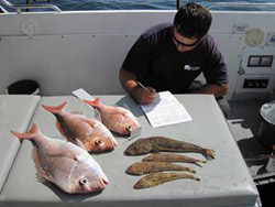 fig2-fisherman-note-taking