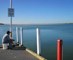 fig4-reel-scientist-dock