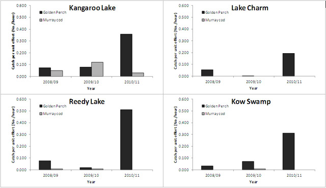 "Figure 2. Catch rates (number caught / hour) of golden perch and Murray cod from Kangaroo Lake, Lake Charm, Reedy Lake, and Kow Swamp."