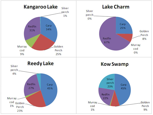 Figure 4. Percentage of fish released after capture by year of survey (Lakes combined).