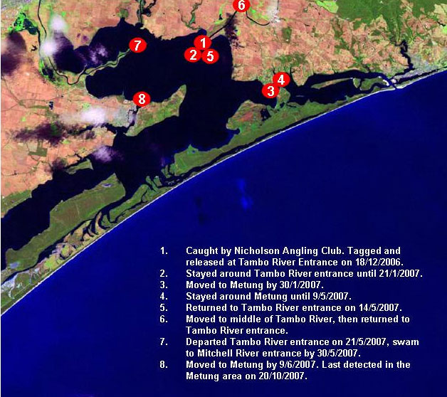 Figure 8. Map of ovement patterns of fish 4853. Tagged and release at entrance to Tambo River.
