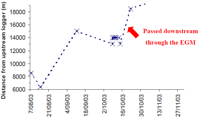Recorded movement of golden perch #31217
