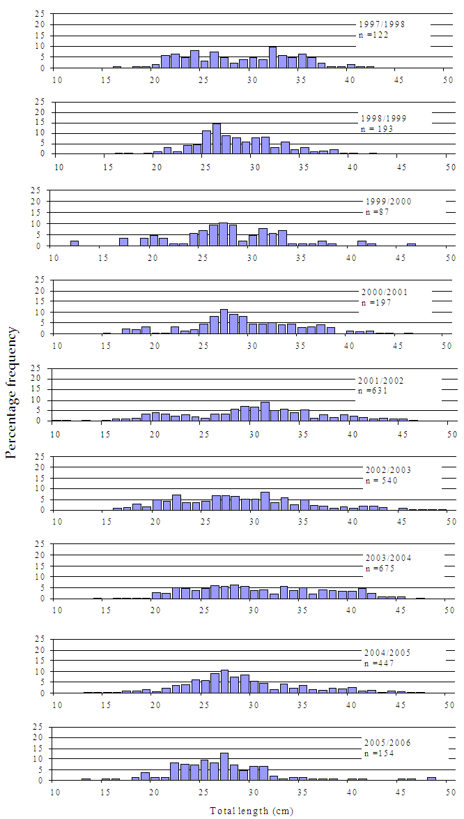 Figure7 - Several bar charts showing size composition of black bream caught in Hopkins River. The charts show steady consistancy.