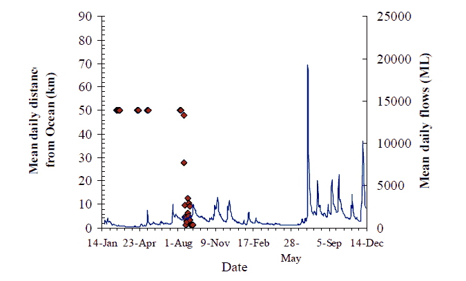 Diagram showing movement behaviour of bass
