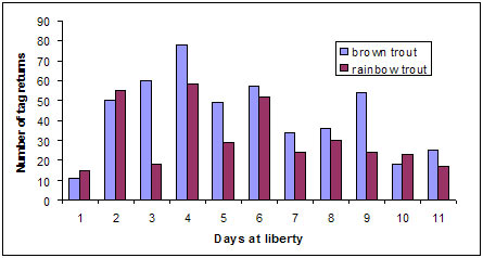Graph: Figure 1 Frequency count of daily tag returns for the first 11 days after release