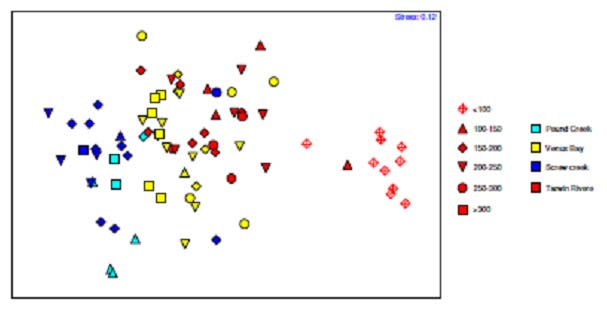 &quot; Appendix 10. Multidimensional scaling plot, based on Bray-Curtis dissimilarity metrics, comparing estuary perch of different sizes among sampling locations in Anderson Inlet. &quot;