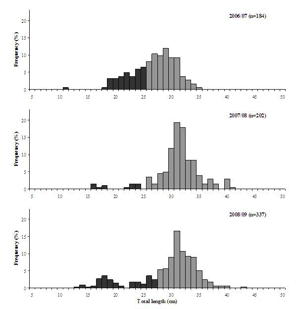 Bar chart plotting length frequency distribution