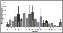 &quot;This graph shows the Mean SE abundance at each transect across sampling period. Transect 1: ~07, Transect 2: ~16, Transect 3: ~15, Transect 4; ~25, Transect 5: ~32, Transect 6: ~20, Transect 7: ~35, Transect 8: ~24, Transect 9: ~30, Transect 10: ~33, Transect 11: 15, Transect 12: ~11, Transect 14: ~8, Transect 15: ~15, Transect 16: ~8, Transect 17: ~9, Transect 18: ~6, Transect 19: ~4, Transect 20: ~11&quot;