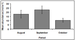 &quot;This graph shows the mean SE abundance during each sampling period within Venus Bay. August - 18, September - 23, October - 10&quot;