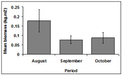 &quot;This graph shows the mean SE biomass during sampling periods. August: 0.17, September: 0.07, October: 0.08&quot;