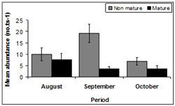 &quot;This graph shows the mean SE transect abundance of immature and mature pipis across sampling period. Mature: August - 10, September - 20, October - 6. Non mature: August - 7, September - 4, October - 4&quot;