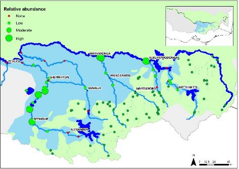 Murray Crayfish map