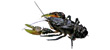 Glenelg Spiny Crayfish