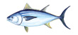 Tuna