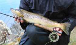 Fisherman with Trout