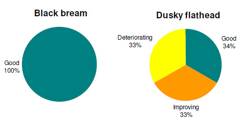 Angler perceptions of the status of black bream and dusky flathead stocks in Lake Tyers.